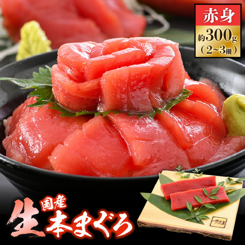 【ふるさと納税】国産  生本マグロ  赤身 約300g（2～3柵）まぐろの王様！！【本まぐろ 鮪 クロマグロ ホンマグロ まぐろ 冷蔵 お取り寄せ グルメ】 [e04-a082]