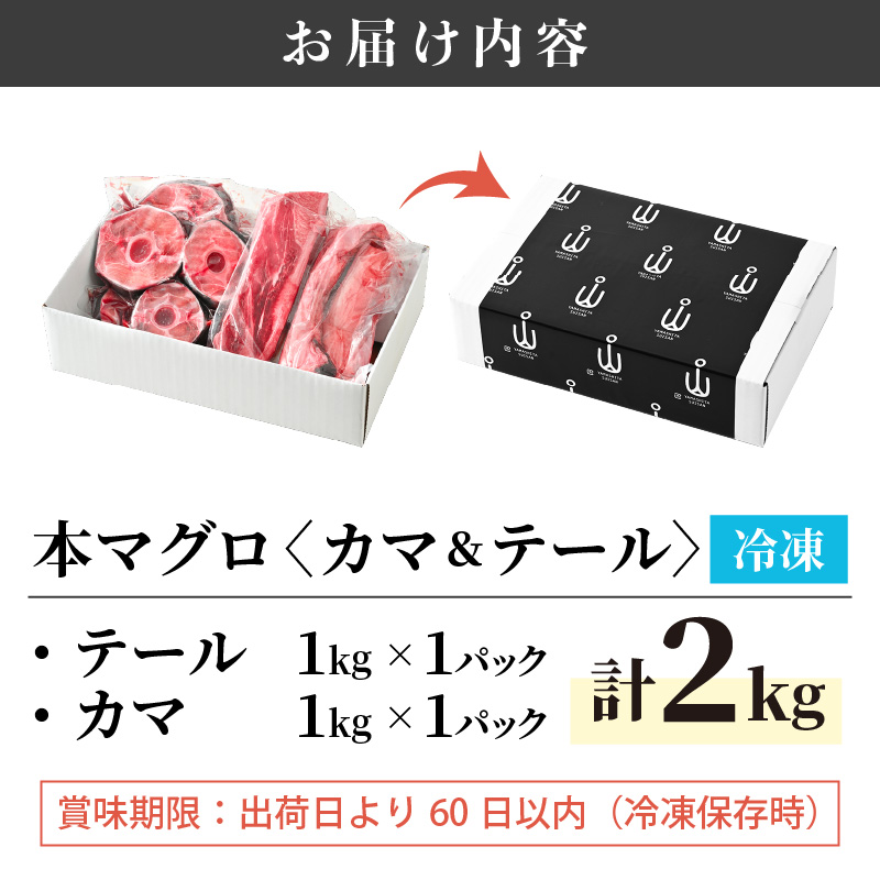 市場 ふるさと納税 まぐろの王様 カマ 希少部位セット テールセット 本まぐろ 国産 計2kg