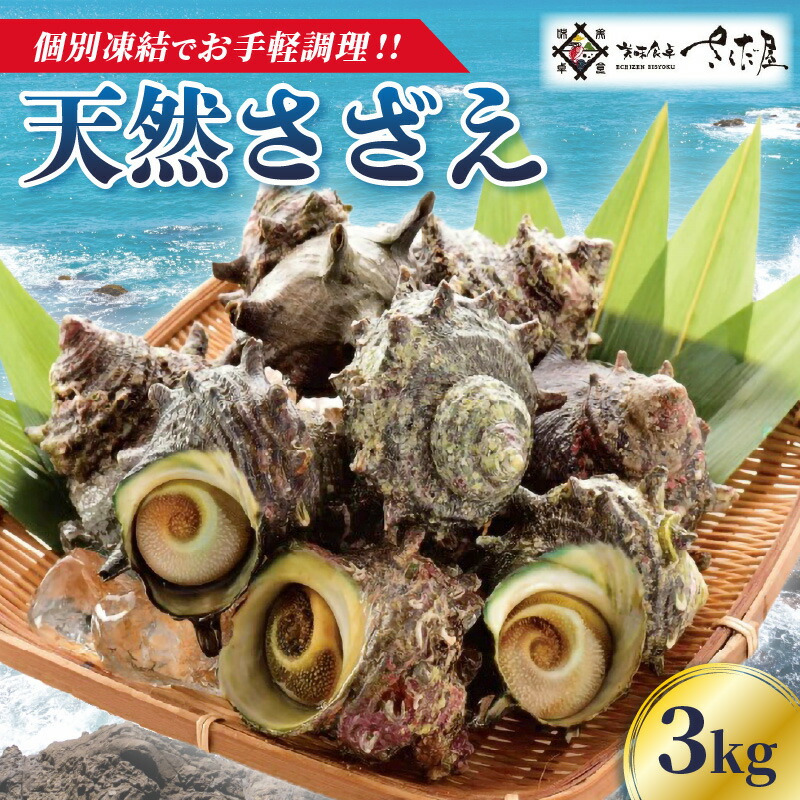 【ふるさと納税】天然 さざえ ≪3kg≫ 加熱用 高鮮度 急速冷凍【海鮮 BBQ バーベキュー 栄螺 サザエ】 [e04-b022]