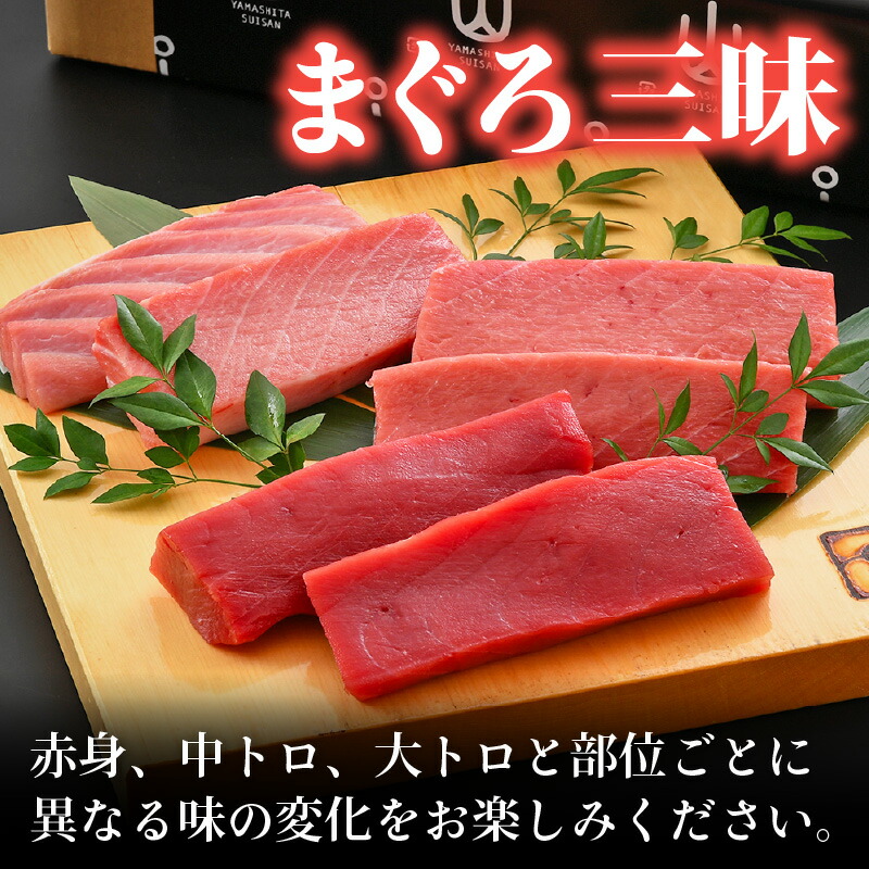 市場 ふるさと納税 計900g 各300g 2〜3柵 本マグロ 中トロ 大トロ 生 赤身 まぐろ三昧セット