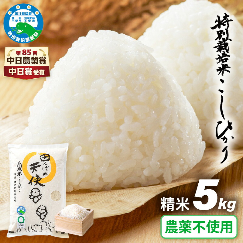 【ふるさと納税】【中日賞受賞】農薬不使用 特別栽培米コシヒカリ5kg【精米】福井県認証区分1取得「田んぼの天使」越前町【5キロ お米 コメ 農薬化学肥料不使用 送料無料】｜福井県越前町