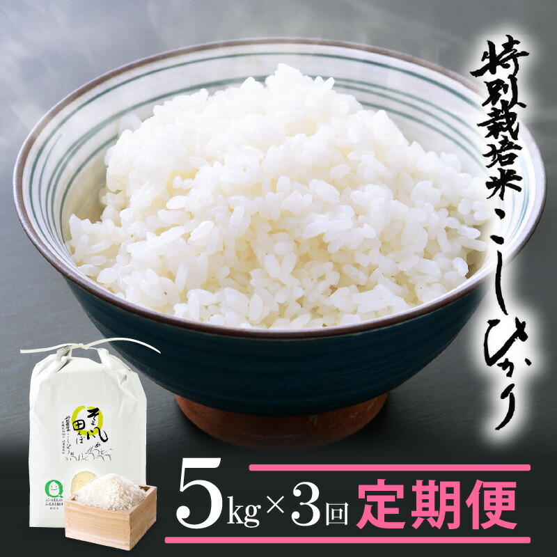 新潟県魚沼産 白米 JA十日町 長期保存包装 10kg 新米 令和4年産 こしひかり x2袋