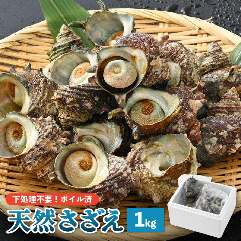 【ふるさと納税】 【先行予約】 天然 さざえ ボイル済 13～15個入 1kg（500g × 2袋）産地直送でお届け！ 【2026年6月中旬より順次発送】【越前町産 栄螺 サザエ 冷凍 小分け 海鮮 BBQ バーベキュー】 [e14-a010]