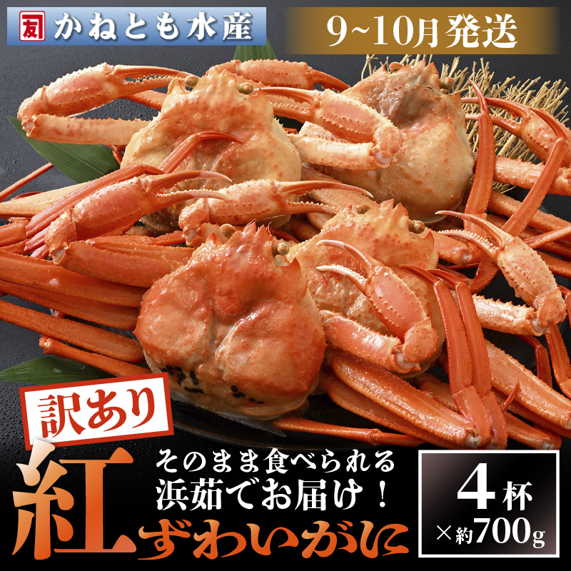 売れ筋介護用品も 越前産 紅ずわいがに 約700g 4杯 食べ方しおり付 浜茹で ボイル 冷蔵 E14 B001 Fucoa Cl