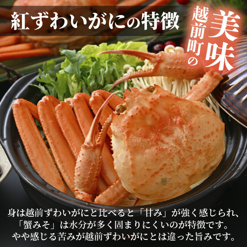 市場 ふるさと納税 × 紅ずわいがに 約700g 4杯 訳あり 越前産 食べ方しおり付