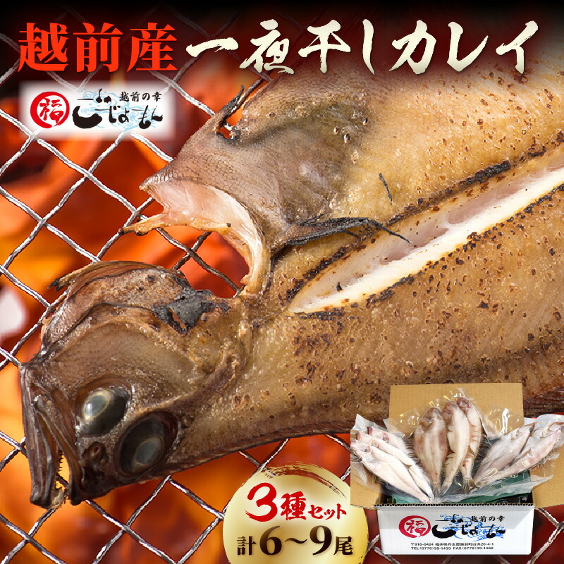 【ふるさと納税】一夜干し カレイ3種セット(2～3尾入り3パック)【冷凍 魚介 魚 干物 加工品 食べ比べ 国産 日本海 かれい 5000円】【越前海岸・美味直送シリーズ 買い回り お買い物マラソン 5000円以下】