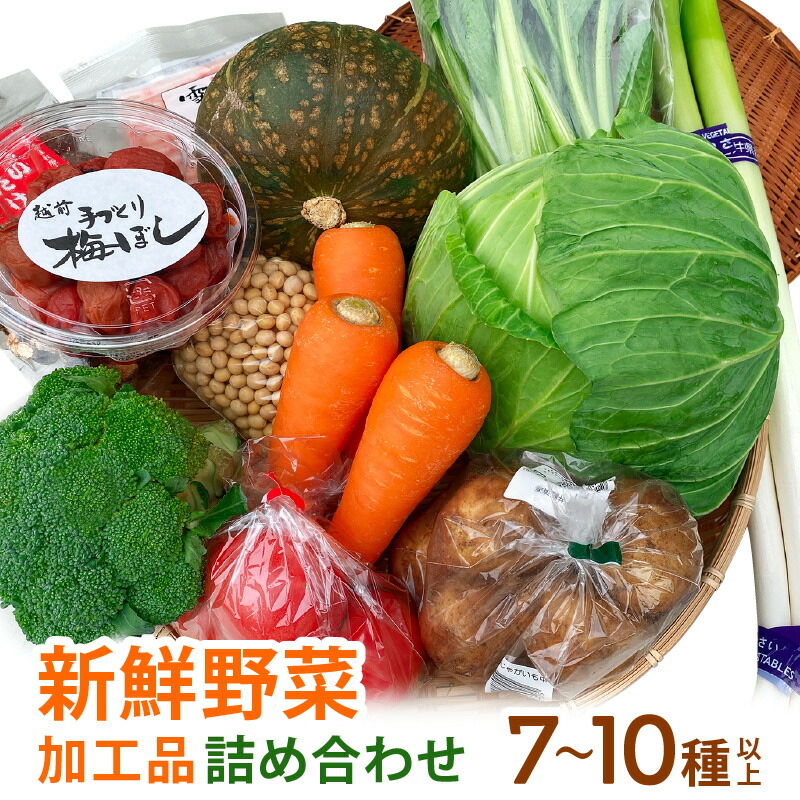 【ふるさと納税】期間限定！季節の野菜・加工品 7～10種以上 詰合せ「おもいでな野菜セット」【人気 おまかせ 詰め合わせ 季節 旬 新鮮】 [e26-a001]