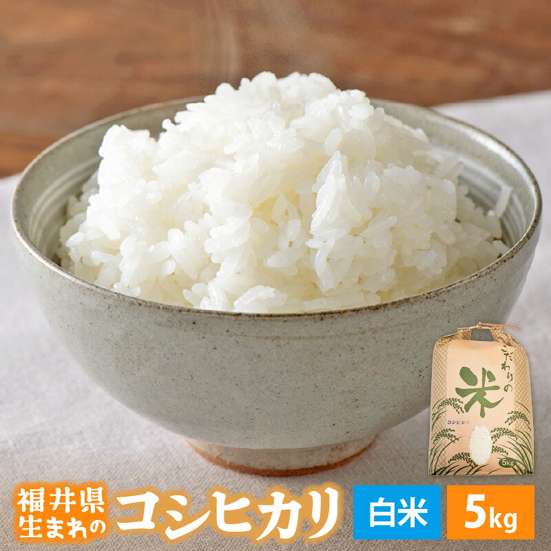 【ふるさと納税】 令和7年産 コシヒカリ 5kg 福井県産【白米】【お米 こめ 米 コメ 精米 こしひかり 5キロ 人気品種】 [e30-a097]｜福井県越前町