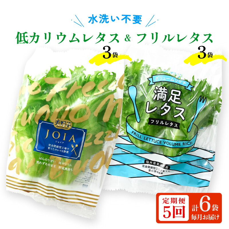 【ふるさと納税】定期便 ≪5ヶ月連続お届け≫ 低カリウムレタス&フリルレタス6個セット 全5回 【福井県美浜町産】【野菜 生野菜 定期便 旬の BOX レタス サラダ サンドイッチ お弁当 水耕栽培 洗わず食べられる 時短 付け合わせ ダイエット ヘルシー 新鮮】 [m40-b002]