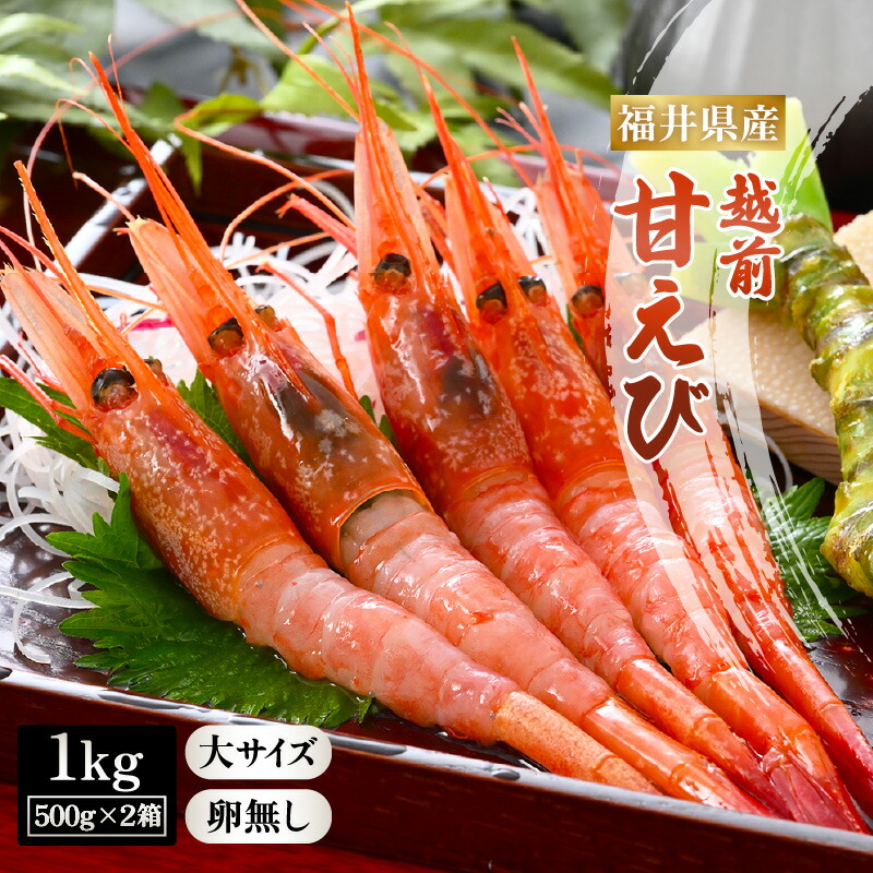 【ふるさと納税】大好評！天然 越前甘えび（卵なし）大サイズ 計約1kg（約500g × 2箱）（合計約60尾入り） 解凍方法説明書付き 酸化防止剤不使用！ 甘エビ本来の味をお楽しみください 【えび エビ 海老 甘エビ 甘えび 海鮮 お刺身 無添加 】 [m17-c013]