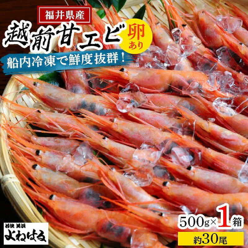 【ふるさと納税】天然！越前甘えび(卵あり) 大サイズ 約500g × 1箱(約30尾入り) 解凍方法説明書付き 船内凍結 酸化防止剤不使用！えび エビ 海老 甘エビ 甘えび 人気 子持ち 海鮮 お刺身 おせち 無添加 冷凍 福井県産 楽天スーパーSALE[m17-a058]