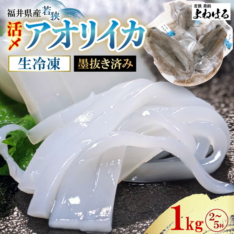 【ふるさと納税】【先行予約】大好評！墨抜き済 活〆 若狭湾 天然 アオリイカの生冷凍 約1kg 【2025年11月中旬以降順次発送予定】福井 地物 海鮮 真空パック 刺身 天ぷら 煮付け 塩焼き ホイル焼き イカ丼 焼きイカ 姿焼き 活イカ イカフライ [m17-b012]