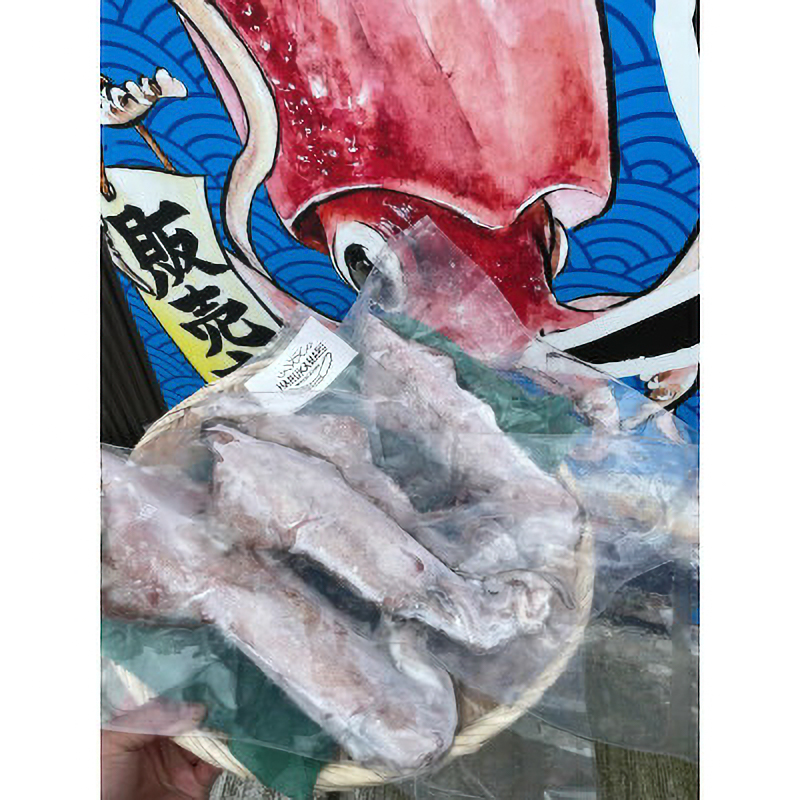【楽天市場】【ふるさと納税】【期間限定】急速冷凍 お刺身で食べる 天然 ケンサキイカ 約1kg 活きたイカをご提供している漁師が活〆！鮮度格別