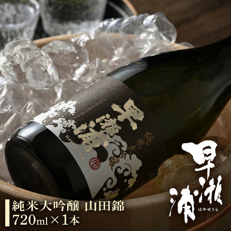 【ふるさと納税】 【お中元】 早瀬浦 純米大吟醸 山田錦 720ml &times; 1本 【入手困難 日本酒 就職祝い 転職祝い ハレの日 ギフト プレゼント お祝い お返し お礼 お中元 お歳暮 父の日 敬老の日】 [m06-c004]｜福井県美浜町
