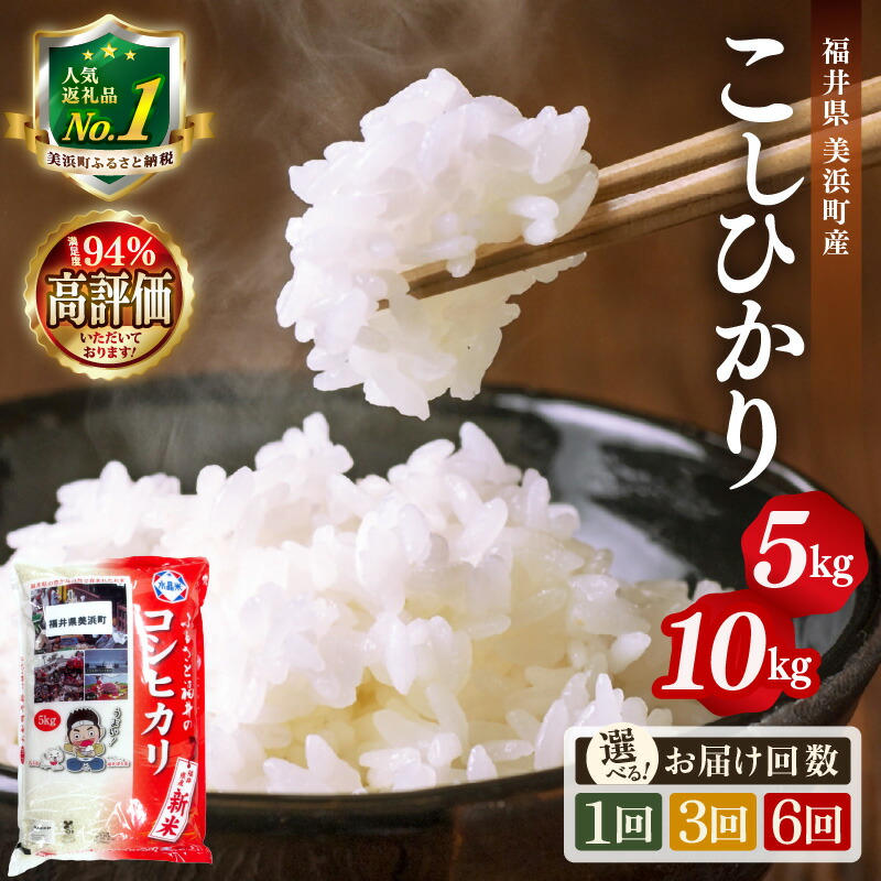 【ふるさと納税】【令和7年産】 コシヒカリ 5kg / 10kg 【単発/定期便】 美浜町産こしひかり 定期便 米 精米 福井県 美浜町産 特A 白米 こめ コメ お米 おこめ こしひかり 福井コシヒカリ 5キロ 10キロ 高レビュー 米定期便 人気 高評価 おすすめ 国産：福井県美浜町