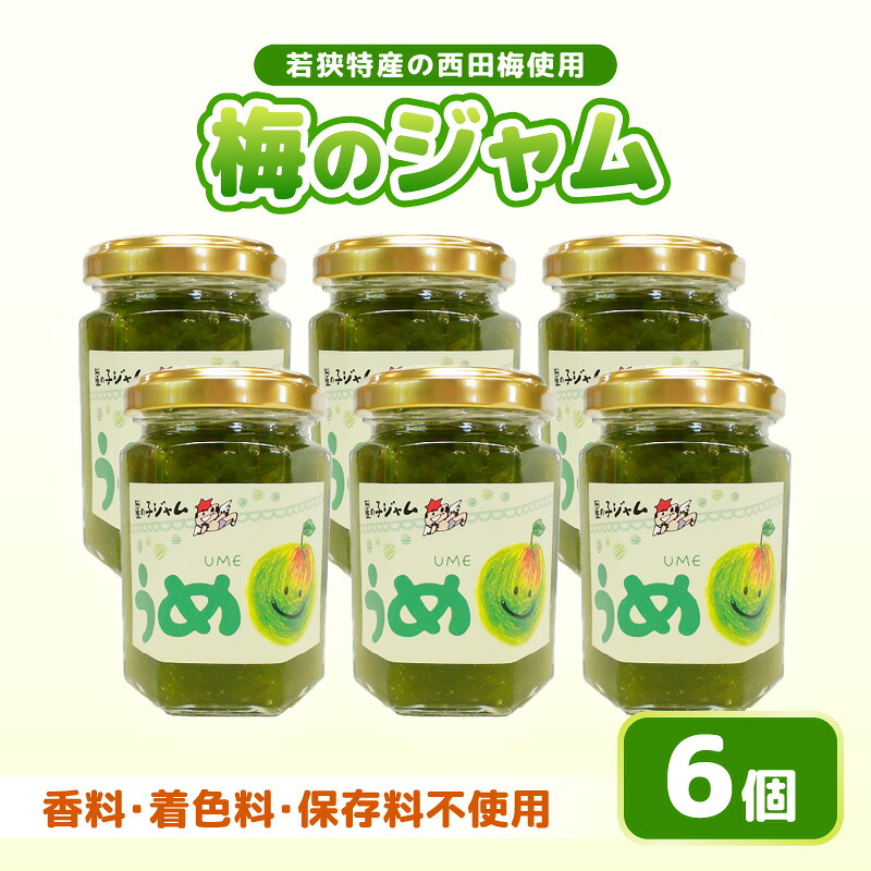 【ふるさと納税】【福井県産】梅を使った 梅ジャム&times; 6個セット 着色料・保存料不使用！｜福井県美浜町