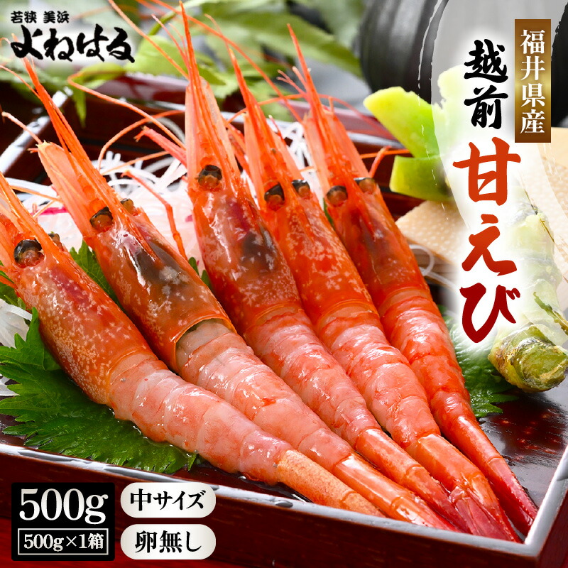 【ふるさと納税】【先行予約】天然！越前甘エビ(卵なし)中サイズ 500g × 1箱(約35尾入り)【2025年7月より順次発送予定】数量限定 解凍方法説明書付き 船内凍結 酸化防止剤不使用！えび エビ 海老 甘エビ 甘えび 海鮮 お刺身 魚介 無添加 冷凍 福井県産