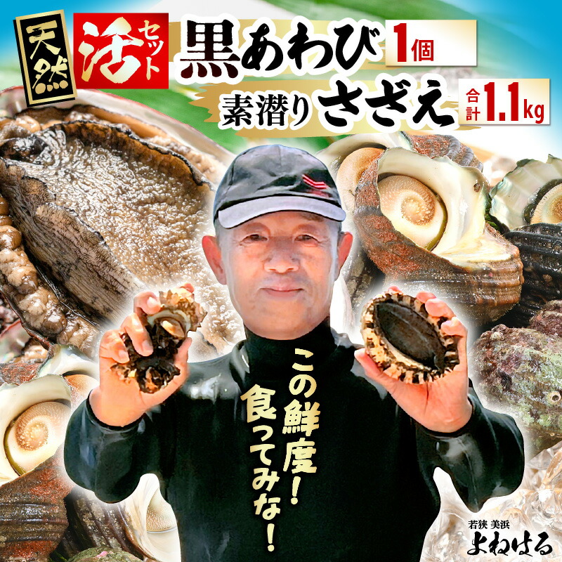 【ふるさと納税】日本海若狭湾の素潜り 天然 活黒アワビ 中サイズ 1個 ＆ 活サザエ 1.1kg 【選べる発送月】あわび アワビ 鮑 クロアワビ 黒あわび さざえ 栄螺 貝 魚介 海鮮 BBQ バーベキュー】お買い物マラソン 買い回り