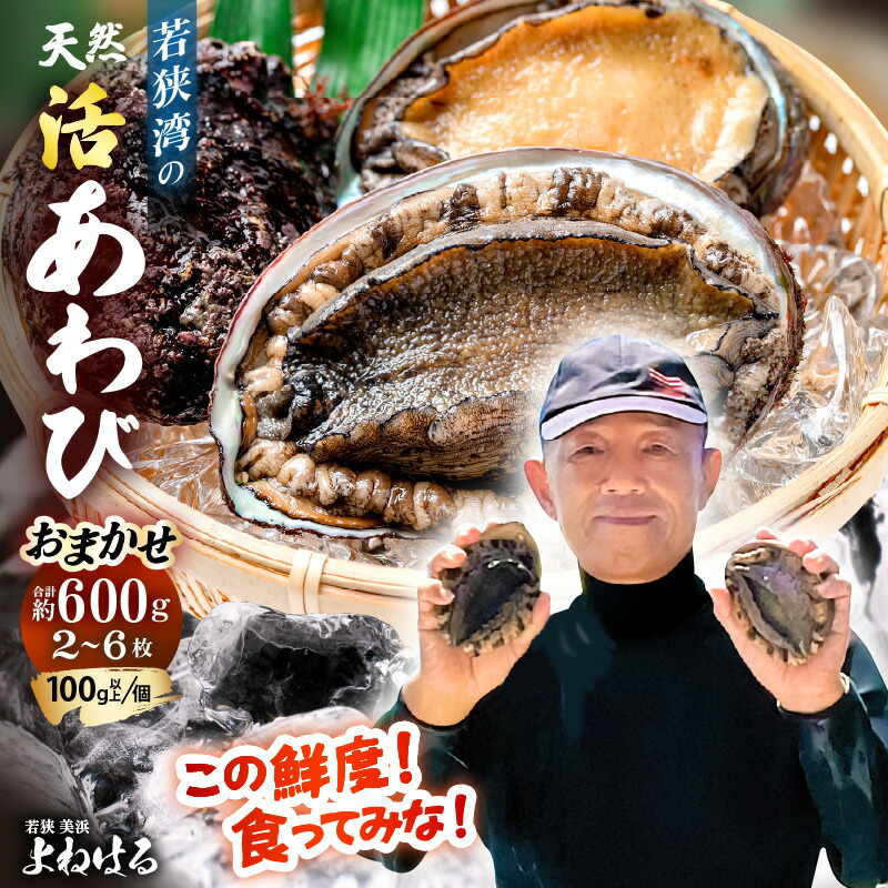 楽天市場】【ふるさと納税】八幡浜発!竹中水産の「アワビ三昧大サイズ