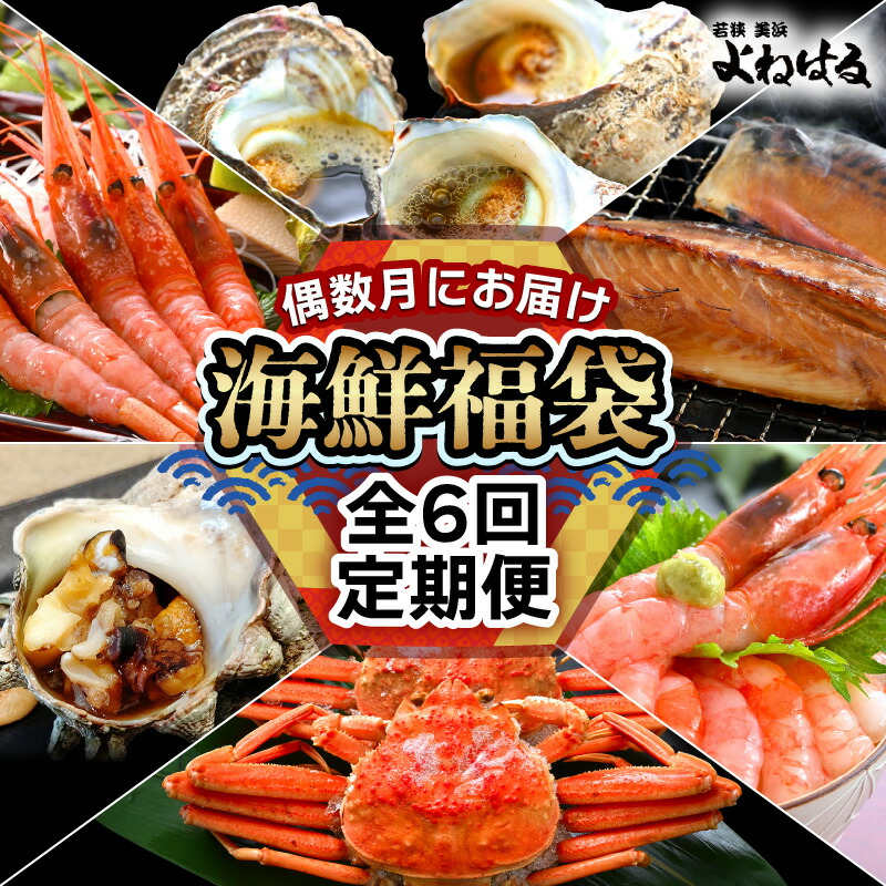 【ふるさと納税】定期便 ≪年6回お届け≫ 海鮮定期便 偶数月にお届け 海鮮福袋 【産地直送 甘えび 甘海老 アマエビ サザエ さざえ セイコガニ かに 蟹 サバ 鯖 海の幸 貝 甲殻類 海鮮 魚介 酒の肴 つまみ 絶品 冷凍 福井】お買い物マラソン 買い回り [m17-g005]