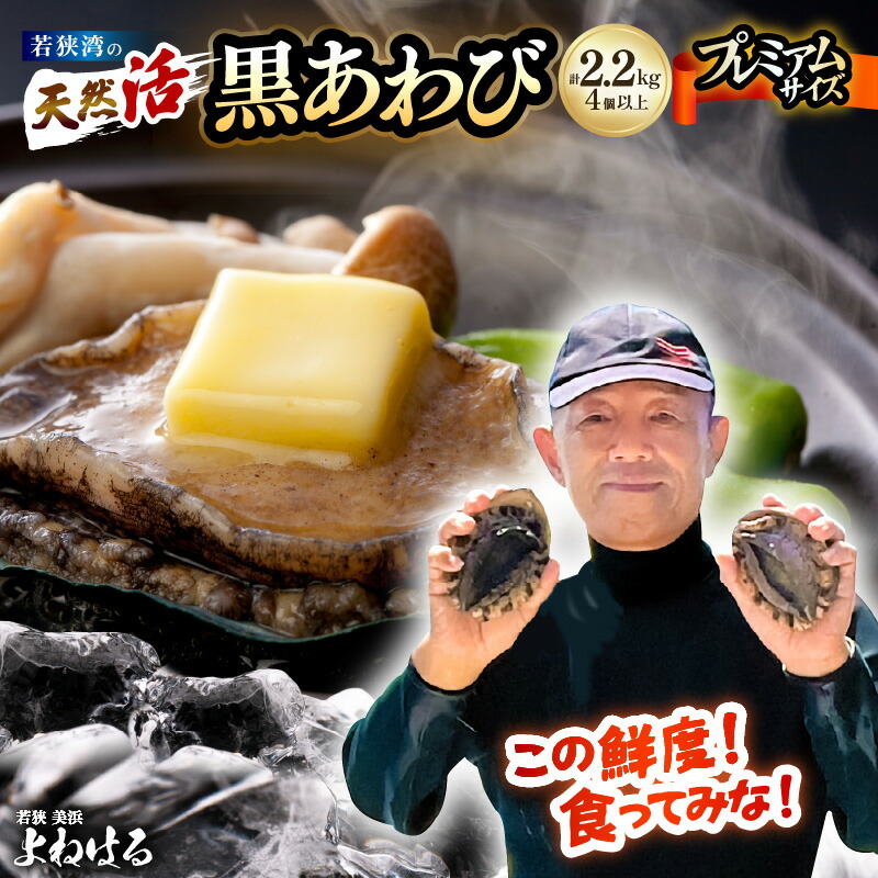 【ふるさと納税】天然 活黒アワビ 計2.2kg（4個以上）プレミアムサイズ【選べる発送月】数量限定 入手困難 日本海 鮮度抜群 刺身 お造り BBQ バーベキュー あわび アワビ 鮑 クロアワビ 黒あわび 魚介類 貝 スーパーセール 】