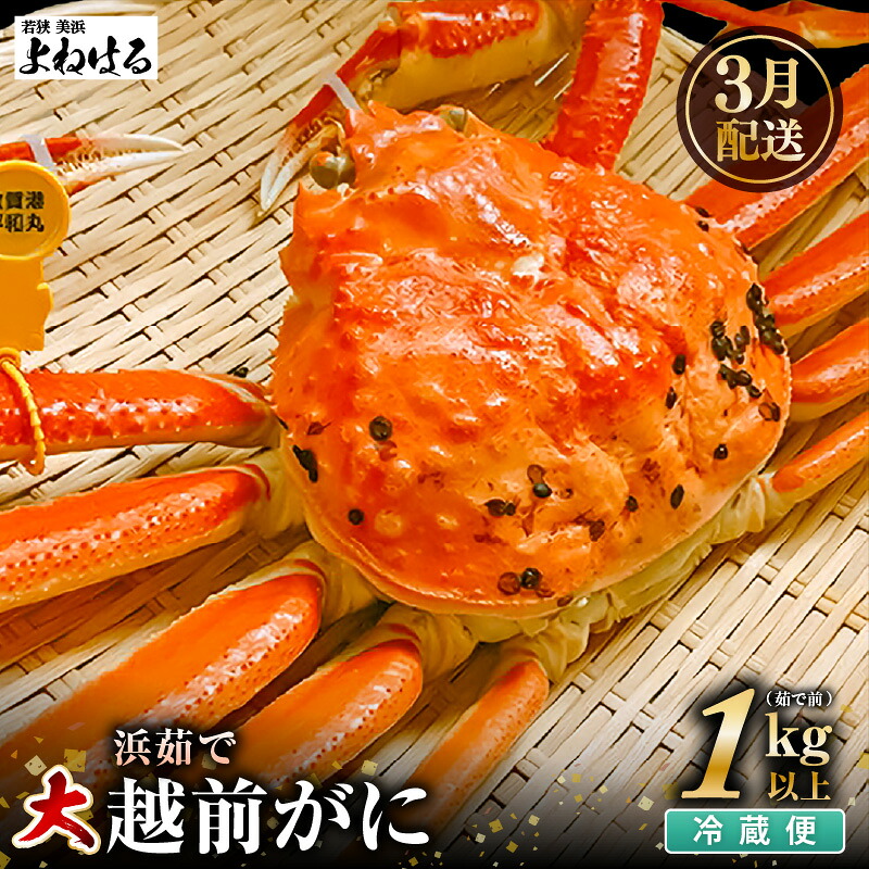 【ふるさと納税】【先行予約】≪浜茹で≫ 天然 越前がに 大サイズ (茹で前約1kg) &times; 1杯 冷蔵 届いてすぐお召し上がりいただけます！ タグ付 福井を代表する冬の味覚 【2027年3月上旬以降順次発送予定】｜福井県美浜町 79,200円