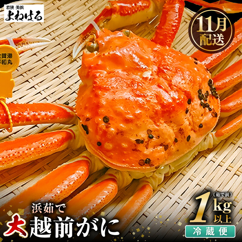 【ふるさと納税】【先行予約】≪浜茹で≫ 天然 越前がに 大サイズ (茹で前約1kg) × 1杯 冷蔵 届いてすぐお召し上がりいただけます! タグ付 福井を代表する冬の味覚 【2026年11月中旬以降順次発送予定】|福井県美浜町