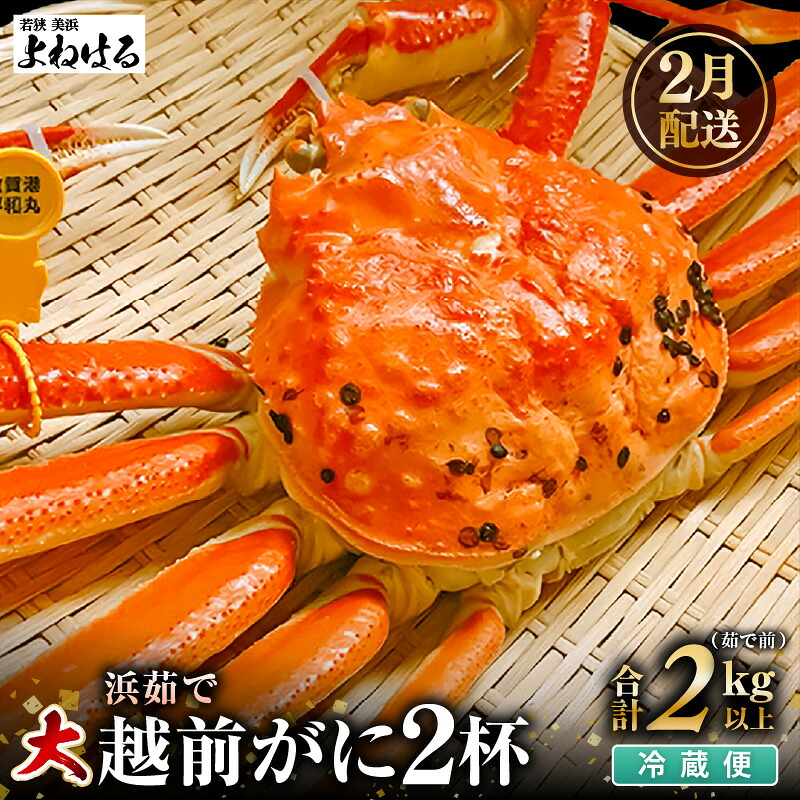 【ふるさと納税】【先行予約】≪浜茹で≫ 天然 越前がに 大サイズ (茹で前約1kg) × 2杯 冷蔵 届いてすぐお召し上がりいただけます! タグ付 福井を代表する冬の味覚【2027年2月上旬以降順次発送予定】|福井県美浜町