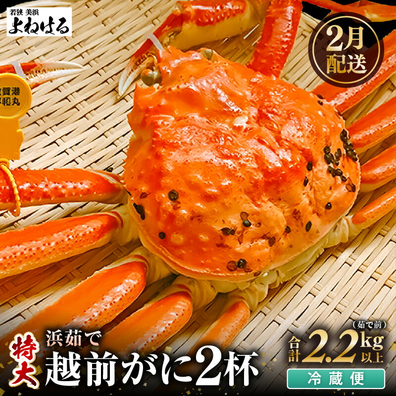 【ふるさと納税】【先行予約】≪浜茹で≫ 天然 越前がに 特大 (茹で前1.1～1.3kg) &times; 2杯 冷蔵ですので、届いてすぐお召し上がりいただけます！ タグ付 【2027年2月上旬以降順次発送予定】【越前ガニ 越前蟹 かに ずわい ズワイ 福井】｜福井県美浜町