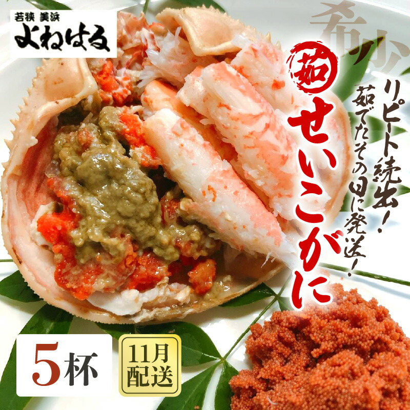 【ふるさと納税】【先行予約】天然 せいこがに × 5杯 (1杯約190g) 茹でたその日に発送! 【2026年11月中旬以降順次発送予定】【冷蔵 本場の味 ボイル 越前ガニ 蟹 茹で セイコガニ ずわいがに ズワイガニ】|福井県美浜町