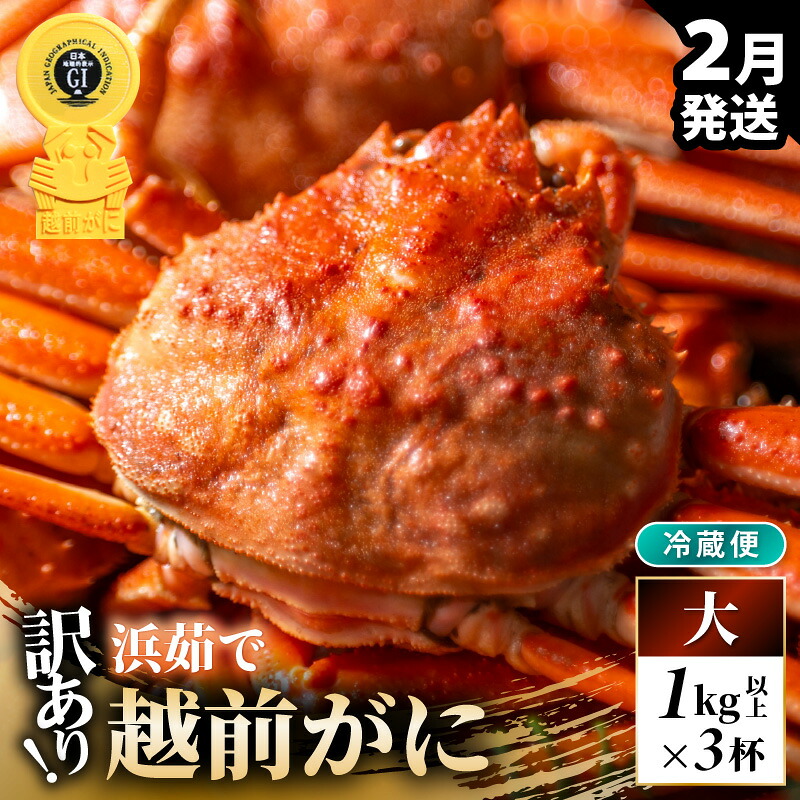【ふるさと納税】【先行予約】【冷蔵】越前がに 訳あり 足折れ 大 1.0kg以上（茹で前）&times;3杯【2027年2月上旬以降順次発送予定】【訳アリ 越前がに 越前蟹 ずわいがに ズワイガニ かに カニ 期間限定 数量限定 プレミアム 贈答用 ギフト お歳暮 年末年始 】[m21-x008_02]｜福井県美浜町