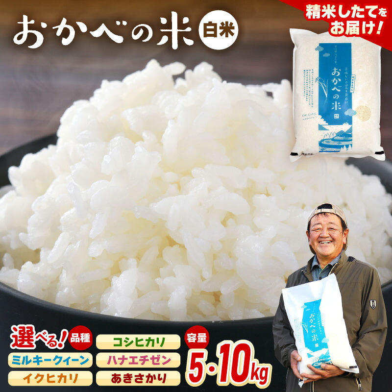 【ふるさと納税】【先行予約】令和8年産 愛情たっぷり 健やかに育った 白米 新米 お米【選べる銘柄:コシヒカリ/ミルキークィーン/ハナエチゼン/イクヒカリ/あきさかり】ブランド米 kome【選べる内容量:5kg/10kg】【2026年9月上旬以降順次発送予定】コメ こめ おこめ