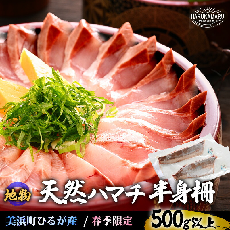【ふるさと納税】天然！地物！ひるがの春ハマチ 柵2本 刺身用【合計500g以上】魚 冷凍 真空パック はまち ハマチ ぶり ブリ 鰤 出世魚 しゃぶしゃぶ 照り焼き 塩焼き 煮付け 生食 刺身 海鮮丼 日向 福井 美浜 海鮮 旬 プレゼント