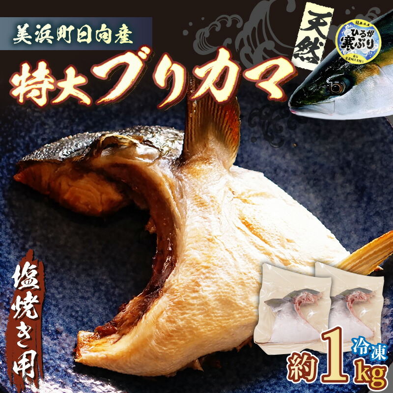 【ふるさと納税】天然 ぶり 特大 ブリカマ (塩焼き用) 約1kg (約500g × 2パック) 美浜町日向産【希少 切身 かま 肉厚 コラーゲン 塩焼き 魚介類 魚貝類 新鮮 冷凍 凍眠】