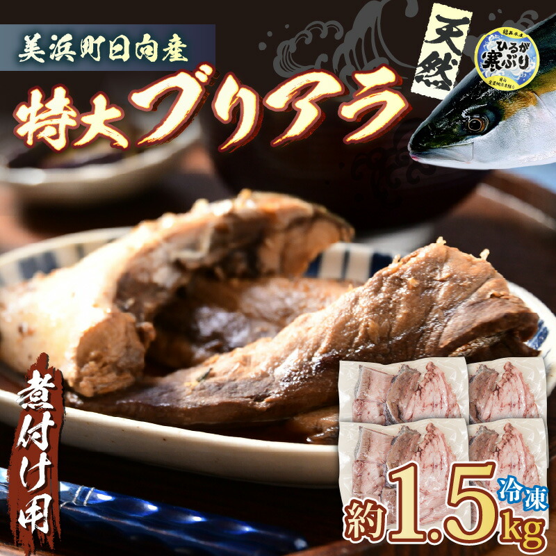 【ふるさと納税】天然 ぶり 特大 ブリアラ（煮付け用）合計 約1.5kg 美浜町日向産【ぶつ切り 切身 塩焼き 骨付き ブリ大根 煮物 アラ 鰤】