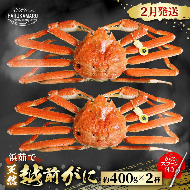 ほぼ新品!! Funky DL / Lyrics No Stress