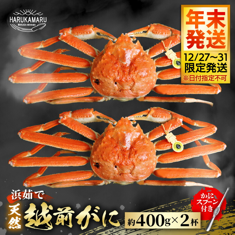 【ふるさと納税】【先行予約】≪浜茹で≫ 地物！天然！はるか丸厳選！越前がに 約400g &times; 2杯【年末発送12/27～12/31限定発送！】【冷蔵 本場の味 ボイル 越前ガニ 蟹 茹で ずわいがに ズワイガニ】｜福井県美浜町