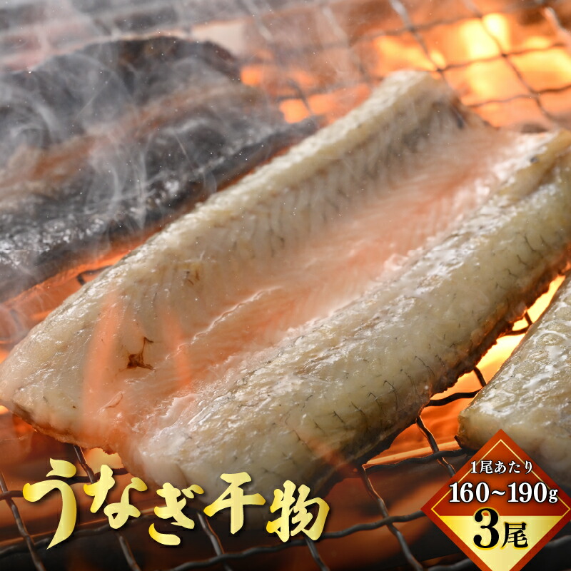 【ふるさと納税】土用の丑の日 国産 うなぎ 干物 約160～190g × 3尾 (計約480～570g)  鰻漁師が厳選！ 皮はパリッ！ 身はジューシー！ グリルで調理簡単 冷凍 【ウナギ 鰻 添加物不使用 蒲焼 父の日 母の日 敬老の日 お中元 お歳暮】