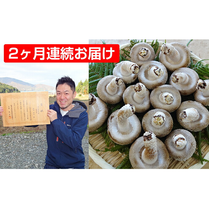 【ふるさと納税】【2ヶ月連続】菌床による、生シイタケで「おーい菌床しいたけ」1kg×2ヶ月 野菜 きのこ 茸 キノコ 椎茸