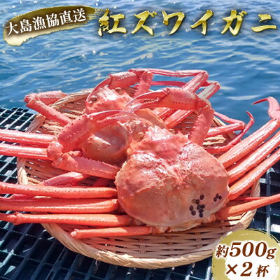 【ふるさと納税】数量限定！福井県の大島漁協直送【ボイル冷凍】ベニズワイガニ（約500g）×2杯 魚介類 蟹 カニ ずわい蟹 ずわいガニ