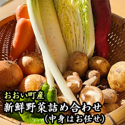 【ふるさと納税】おおい町産新鮮野菜詰め合わせ 野菜セット 特産