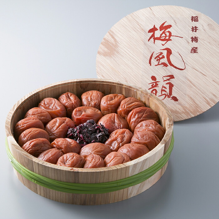ふるさと納税 梅風韻 しそ漬梅ぼし 約500g 高島屋選定品 梅干し しそ漬梅ぼし 梅ぼし Sermus Es