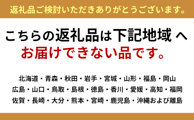 ふるさと納税 若狭湾造成 朝旦獲れアオリイカ3 5優勝杯 劣性片づけるなし とと軟体動物 イカ お届け 21老年期10御月様1ディ 21年11月30日 Musiciantuts Com