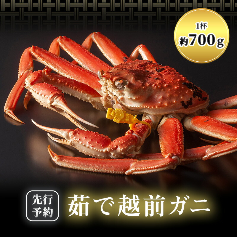 【ふるさと納税】期間限定 茹で 越前ガニ 約700g以上 1杯  茹でガニ 越前カニ 越前蟹 ズワイガニ ずわい蟹 カニ かに 蟹 ボイルカニ ボイル蟹 ポーション 魚介 魚介類 海鮮 限定 福井 福井県 若狭町　お届け：2025年11月10日～2026年3月31日（年末年始を除く）