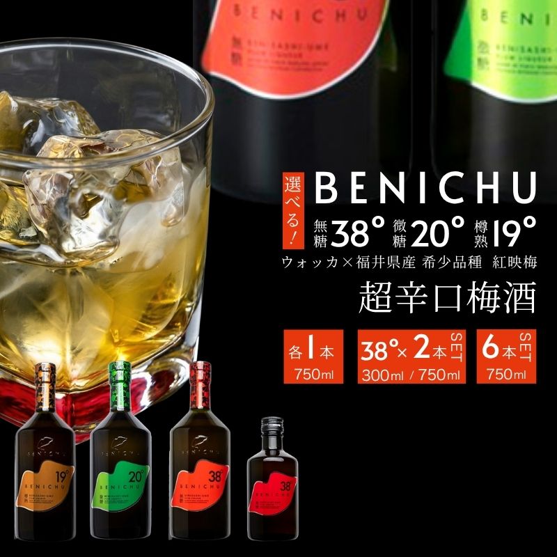 【ふるさと納税】選べる容量&度数 梅酒 高島屋選定品 BENICHU20° BENICHU38° 750ml 2本 甘くない梅酒 飲み比べセット お酒 リキュール 高島屋 うめしゅ 酒 アルコール 飲み比べ セット 紅映梅 微糖 無糖 梅 うめ ウメ 福井県 福井|福井県若狭町