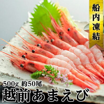 【ふるさと納税】日本海 甘えび 子なし 500g 約50尾 越前甘えび 甘海老 あまえび えび エビ 海老 魚介 魚介類 海鮮 冷凍 福井 福井県 若狭町