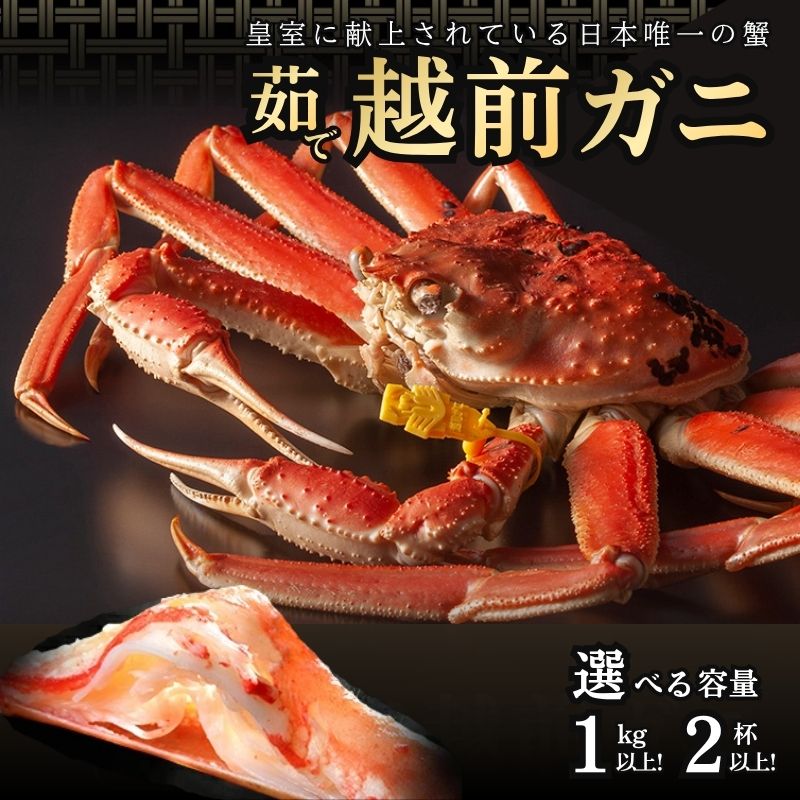 【ふるさと納税】かに 期間限定 茹で 越前がに 1kg以上&2杯以上 選べる容量 ずわい蟹 ボイルカニ ボイル 魚介類 お届け:2026年11月10日~2027年3月31日(年末年始を除く)|福井県若狭町