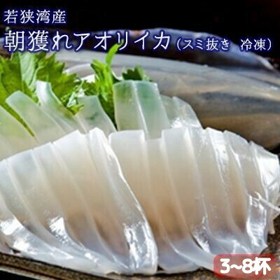 【ふるさと納税】朝どれ アオリイカ 3～8杯 スミ抜き 冷凍 若狭湾産 朝どれ魚 イカ 烏賊 いか 冷凍イカ 海鮮 福井 福井県 若狭町　お届け：2025年11月1日～2025年12月20日※漁獲状況によって出荷期間が前後する場合がございます。