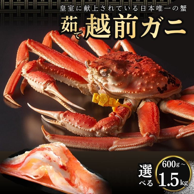 【ふるさと納税】かに 期間限定 茹で 越前がに 1杯(選べる600g~1.5kg)ずわい蟹 ボイルカニ ボイル 魚介類 お届け:2026年11月10日~2027年3月31日(年末年始を除く)|福井県若狭町