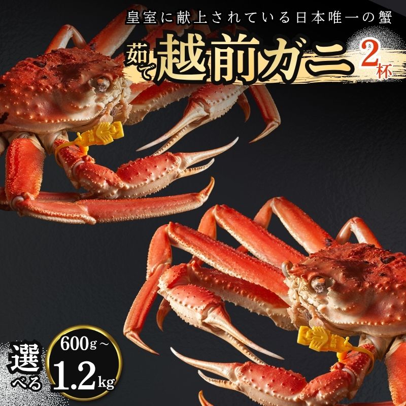 【ふるさと納税】かに 期間限定 茹で 越前がに 2杯(選べる600g~1.2kg)ずわい蟹 ボイルカニ ボイル 魚介類 お届け:2026年11月10日~2027年3月31日(年末年始を除く)|福井県若狭町